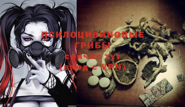 эйфоретик Белоозёрский