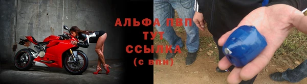 эйфоретик Белоозёрский