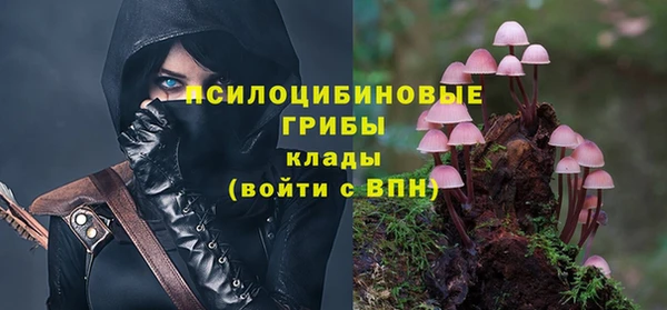 трава Белокуриха