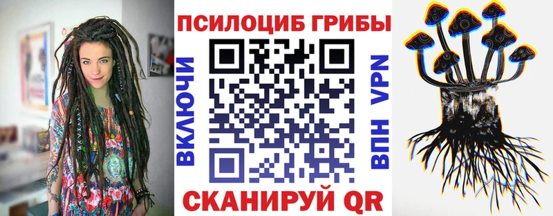 Псилоцибиновые грибы Psilocybe  Маркс 